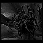 <b>(...jen tak...)<br></b>#45<b><hr>