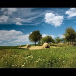 předzvěst léta...?