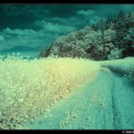 Vše je relativní - IR