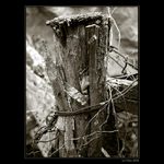 <b>... Starý plot ...</b><br>