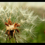 Neodcházej...prosím!