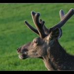 Kampak asi slunce zapadá