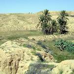 Sahara