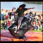 Zkroceni moderniho byka :-)