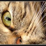 ...já Tě vidím...!