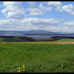 pri trstenej