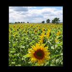...co koukáš?...