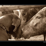 ... důvěrný rozhovor