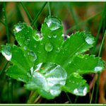 vodní nádrž "Beruškovo"