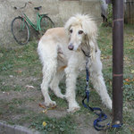 Neboj, jen si tě vyfotím