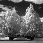 svět infračerveného záření