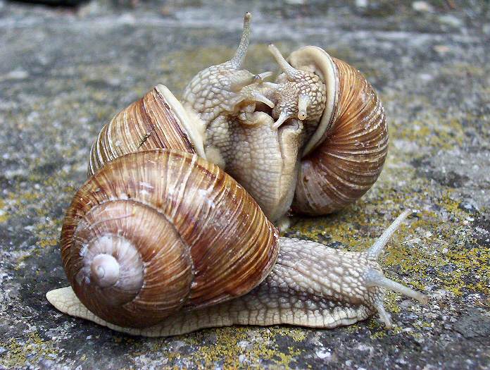 tak já radši jdu....