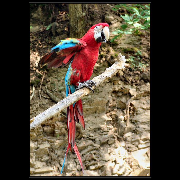 <b> United Colors of NaTuRe </b>