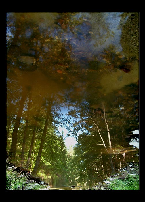 Reflection