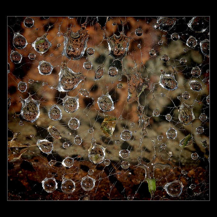 <b>* Neverending universe *</b>