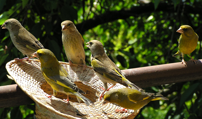 Hoši nebavte se sním!