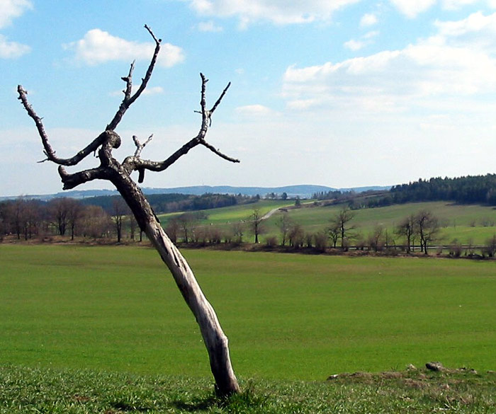 smrtelná křeč