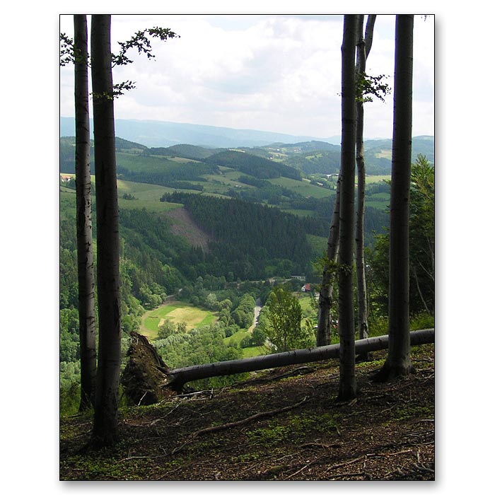 Bystřička