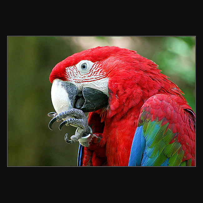 *NĚCO TU ZAVÁNÍ *