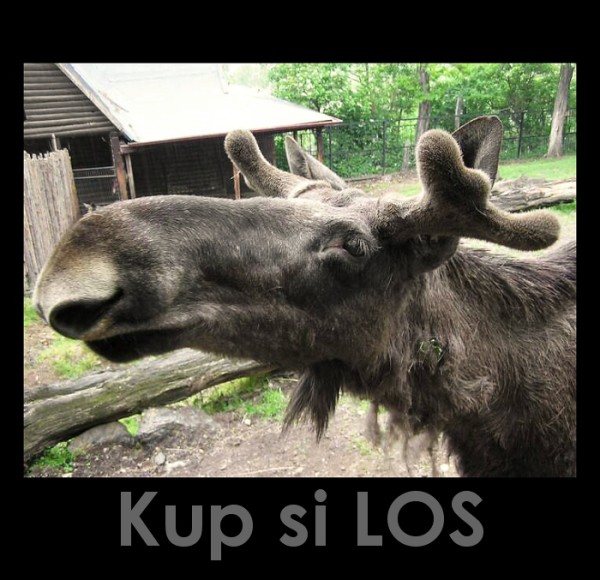 Takové obyčejné losování