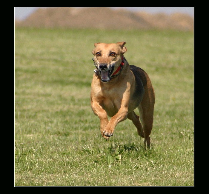 <b>Už zase skáču přes kaluže :o)</b>