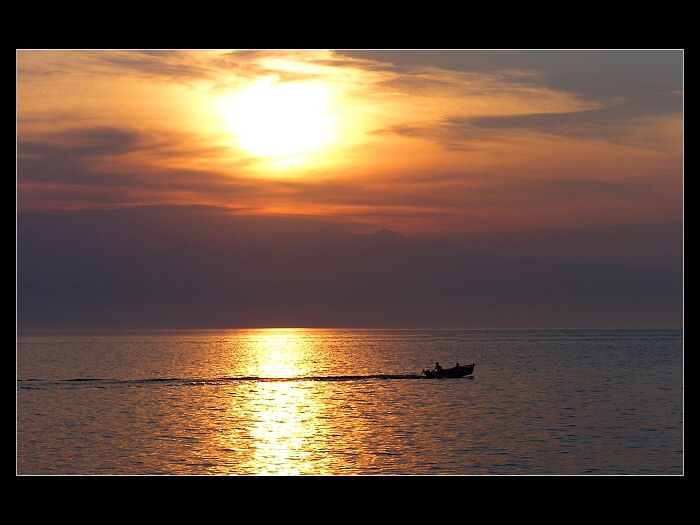 podvečerní lov....