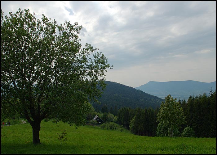 Chaloupka pod horama