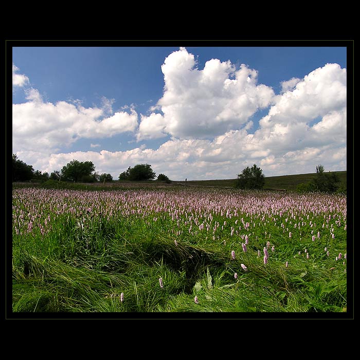 Na hřebenech Krušných hor...