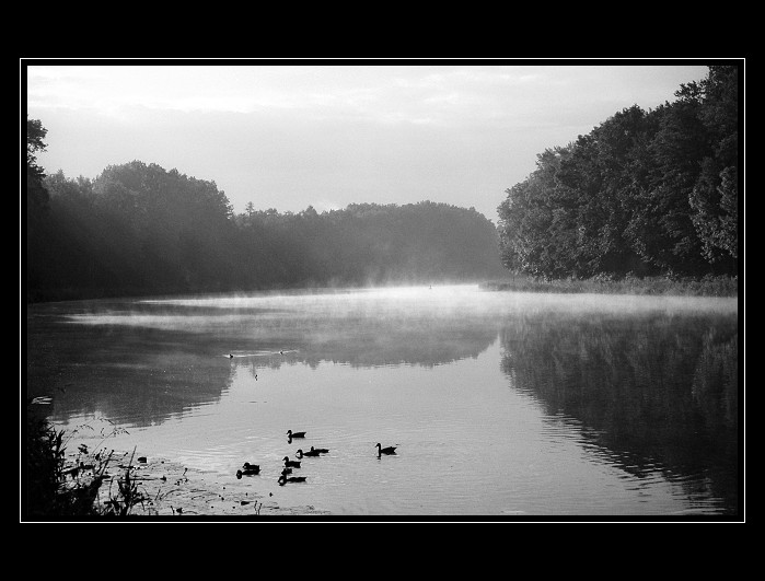 Labe-dnes ráno