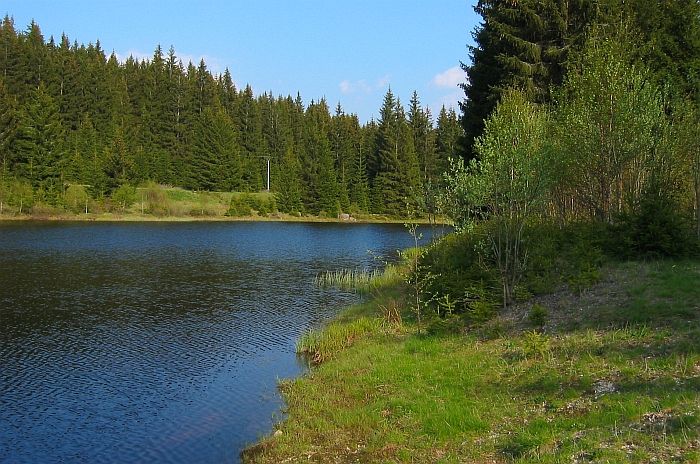 Pohořský rybník