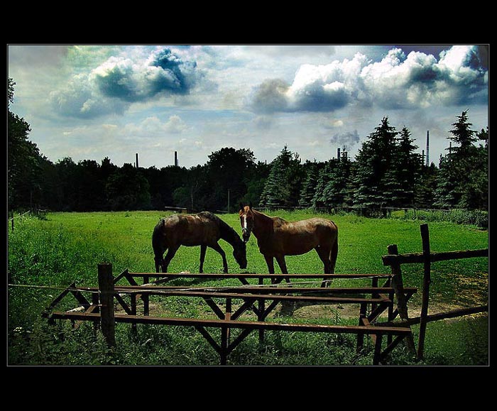 ...we live in a beautiful world, yes we do, yes we do...