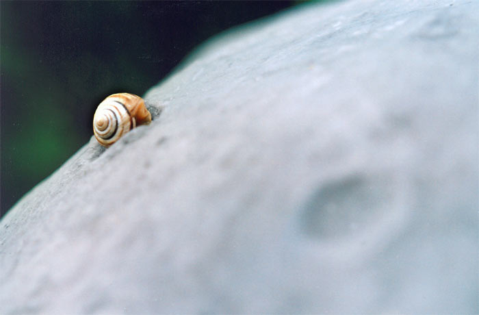 -= zivot na planetke =-