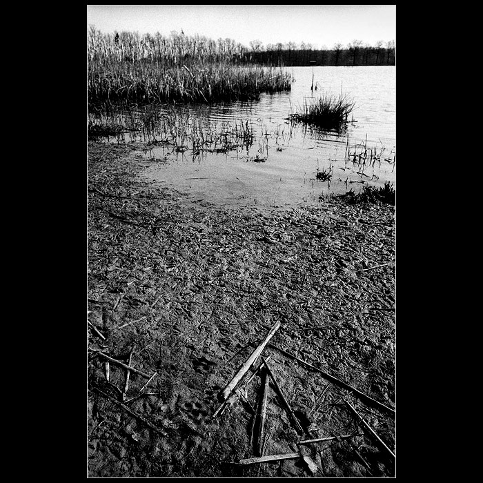 Rybník III: Znamení