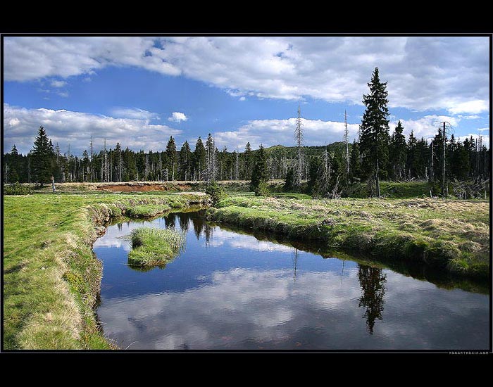 Některý z nich pořád ještě žije ...