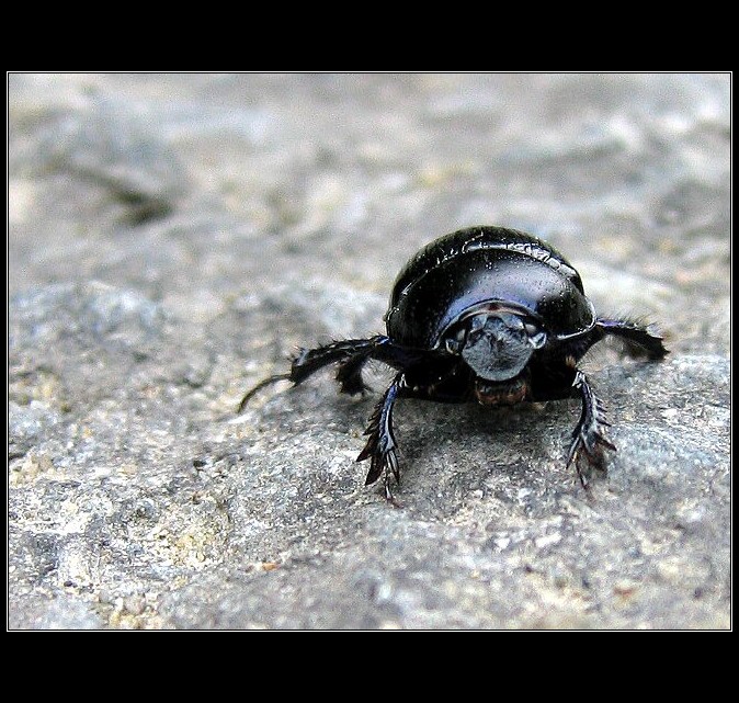 Ještěže´s mě nezajel ...