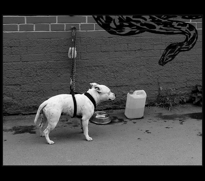 Pít, či nepít? Toť otázka..