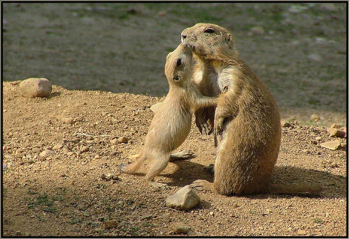 Vše nejlepší a pusu k tomu.