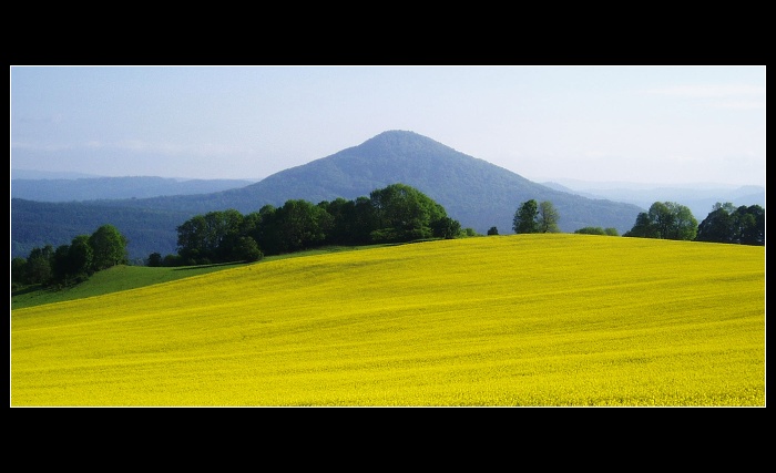 Žluté moře