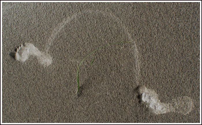 Stopy v písku
