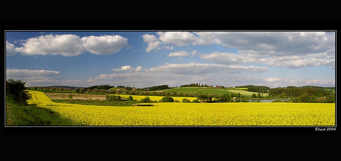 --Žlutá vysočina--