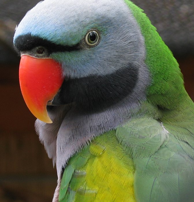 United Colours of Nature