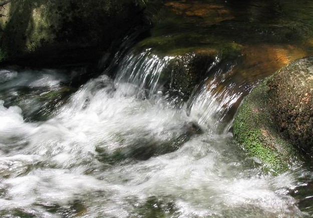 Potůček bublavý