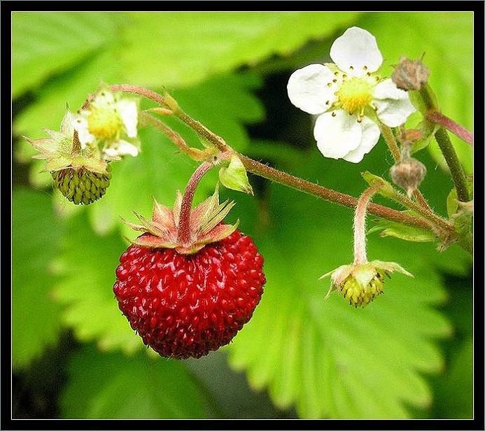 KRÁSNÉ LÉTO VŠEM !!!