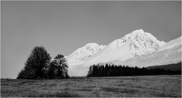 Tatranské rána