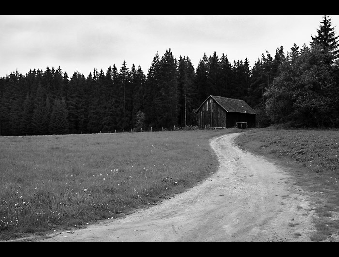 cestou, jež domů se vine