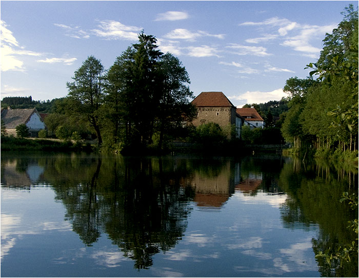 rybník ve Svojšicích