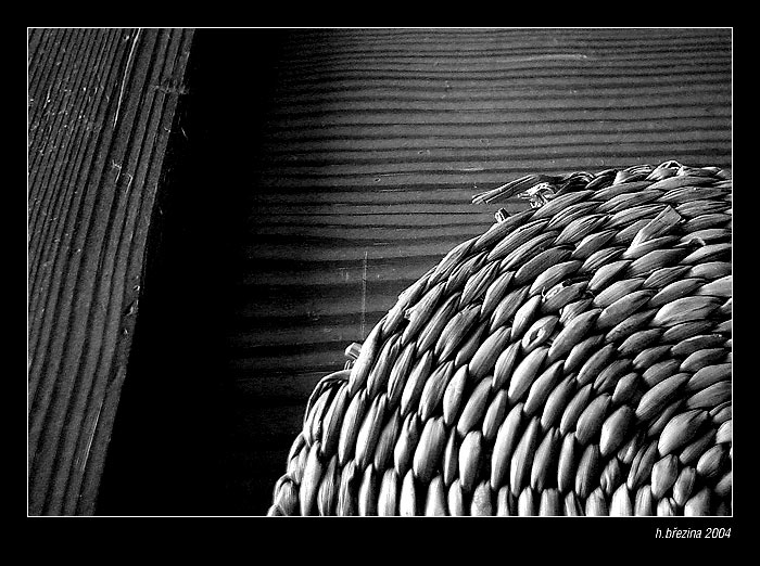 ...linie...