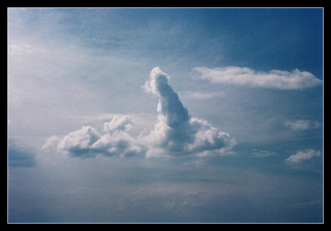 Erotic dreams