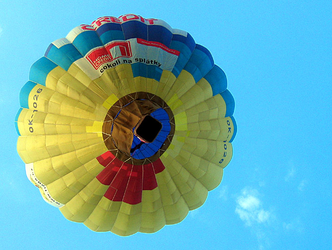 Kytka Balonofka