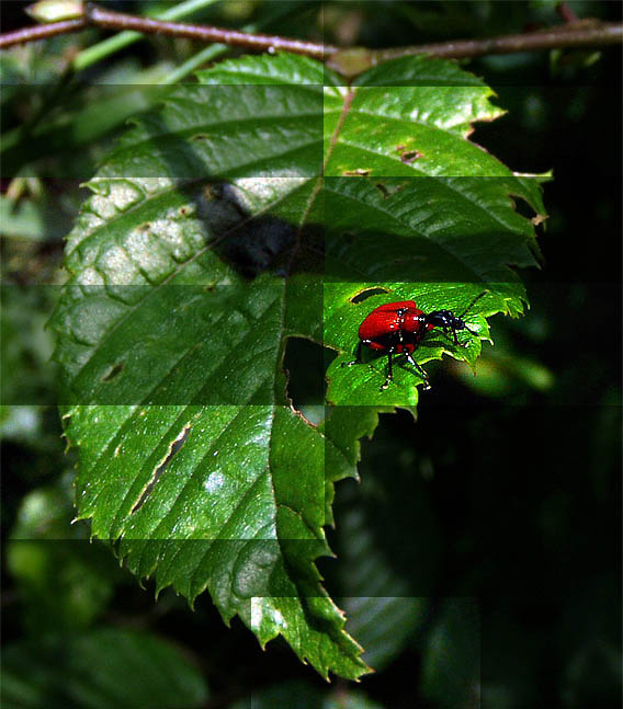 Jiny Pohled na Svět.